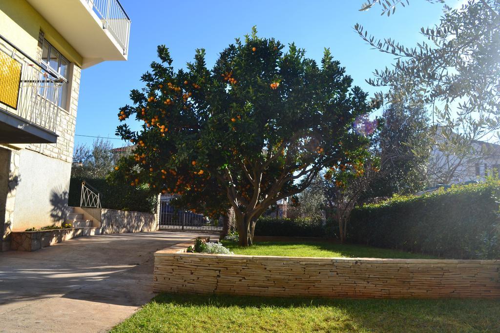 זאדאר Apartments Angie חדר תמונה